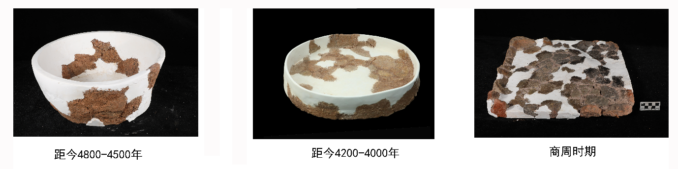 世界杯精彩瞬间：球队战术深度解析 - 世界杯竞猜
